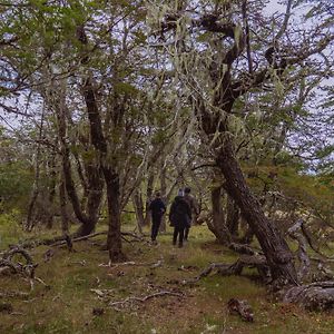 Estancia Patagonia El Calafate - Pristine Luxury Camps